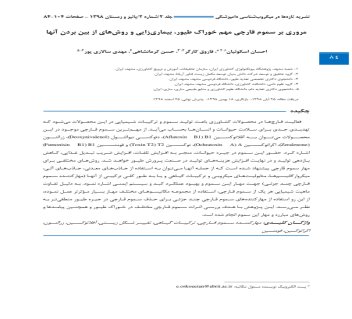 مایکوتوکسین ها در خوراک طیور؛ تهدیدی پنهان برای سلامت گله و سودآوری مرغداری